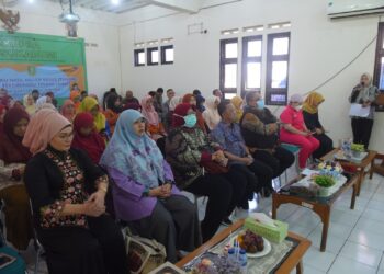 Wakil Wali Kota Sukabumi Hadiri Deseminasi Hasil Kajian Kasus Stunting