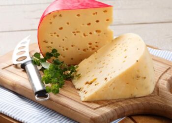 Keju Gouda, Asal Belanda Produksi Sukabumi. Buat Yang Takut Gendut Simak Manfaatnya !