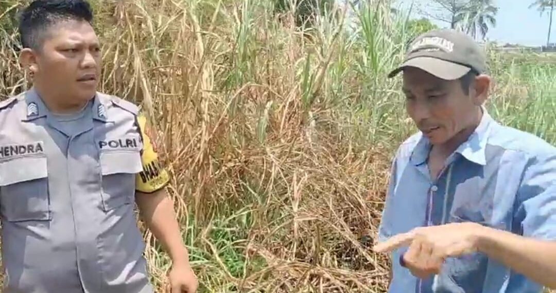 Membantu Memadamkan Api Bhabinkamtibmas Polsek Sukaraja dan Masyarakat Setempat