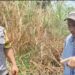 Membantu Memadamkan Api Bhabinkamtibmas Polsek Sukaraja dan Masyarakat Setempat