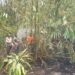 TIGA PILAR KELURAHAN JAYAMEKAR BERSAMA MASYARAKAT MEMBANTU DAMKAR KOTA SUKABUMI PADAMKAN KEBAKARAN LAHAN KOSONG