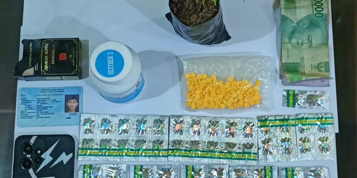 Edarkan Obat Berbahaya dan Miliki Pohon Ganja, Warga Sukabumi Diamankan Polisi