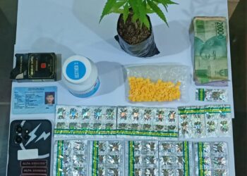 Edarkan Obat Berbahaya dan Miliki Pohon Ganja, Warga Sukabumi Diamankan Polisi