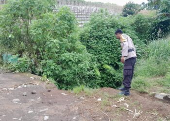 Bhabinkamtibmas Polsek Sukaraja Sigap Datangi Lokasi Longsor Jembatan DI Wilayah Binaan
