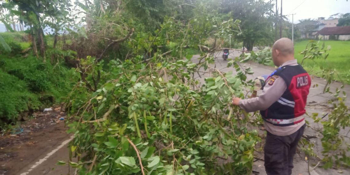 Anggota Samapta Polsek Cibeureum beserta Warga masyarakat kerja bakti Membersihkan Pohon yang tumbang ke Jalan