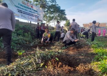 Ngariung bareng Kapolsek. Kapolsek Baros tingkatkan kepedulian ketahanan pangan dengan penanaman sejuta pohon, pemberian bibit pohon dan pupuk dalam  menyambut HUT Bhayangkara Ke-78