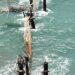 74 Nelayan Terjerat Ombak Tinggi di Pantai Selatan Sukabumi Tiga Orang Tenggelam. 71 Belum Bisa Dievakuasi