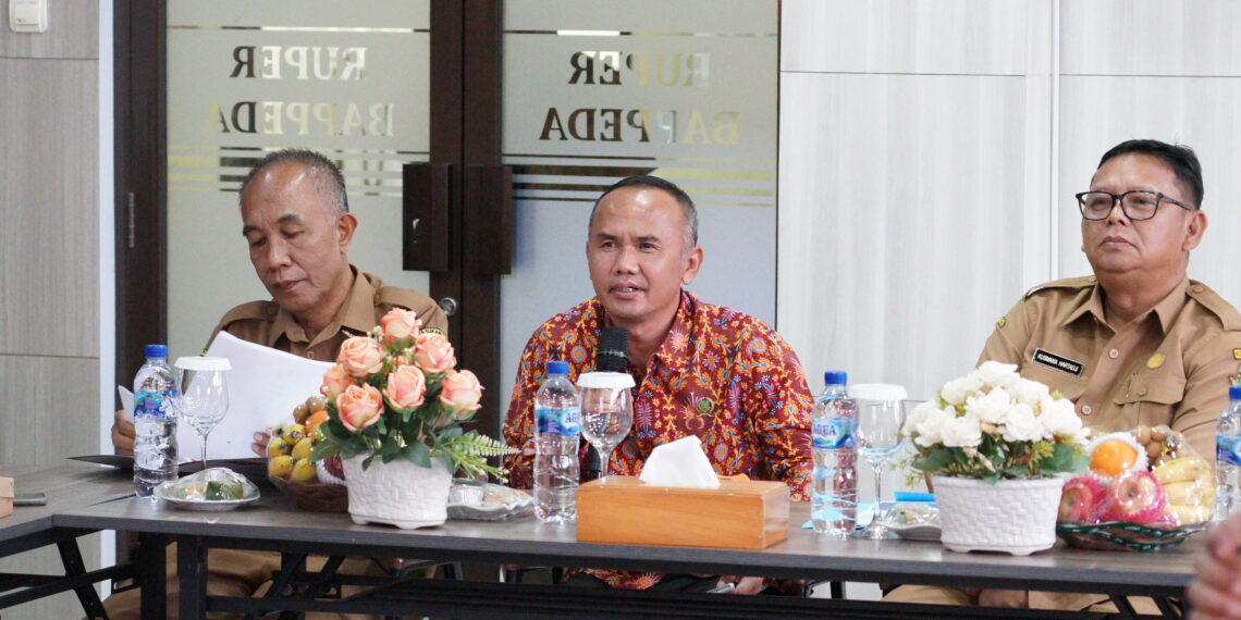 Hadiri Kick Off Meeting Perencanaan Pembangunan Ini Tanggapan Wakil Ketua DPRD Kota Sukabumi