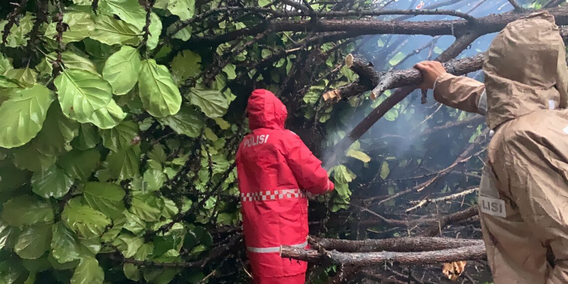 Bareng Warga, Polres Sukabumi Kota Evakuasi Pohon Tumbang Yang Tutupi Jalan