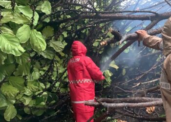 Bareng Warga, Polres Sukabumi Kota Evakuasi Pohon Tumbang Yang Tutupi Jalan