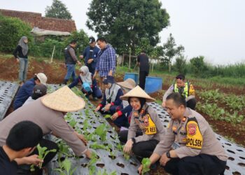 Kapolres Sukabumi Kota Tinjau Lokasi Ketahanan Pangan 