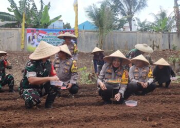 Dukung Asta Cita Presiden RI, Polres Sukabumi Kota Tanam 5000 Bibit Jagung di Mapolsek Warudoyong