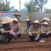 Dukung Asta Cita Presiden RI, Polres Sukabumi Kota Tanam 5000 Bibit Jagung di Mapolsek Warudoyong