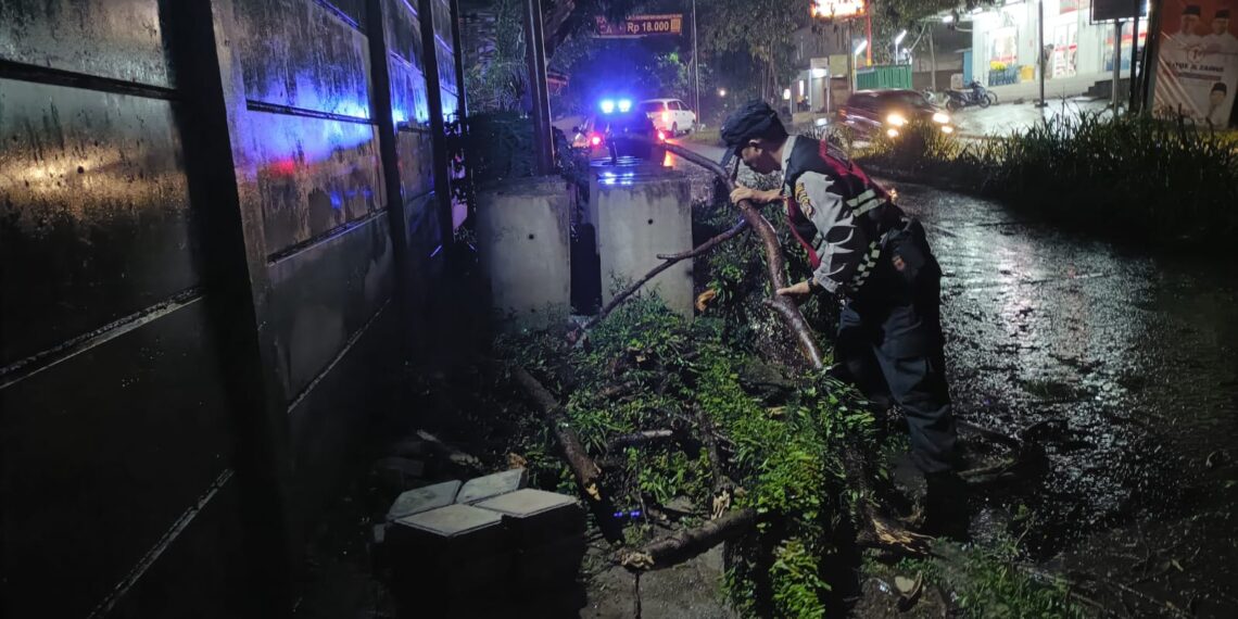 Hujan deras yang melanda wilayah Sukabumi dan sekitarnya Sejak Selasa siang (5/11/24) mengakibatkan pohon berukuran sedang tumbang