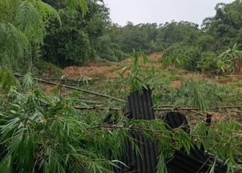 Nenek Emah Tertimbun Longsor di Sukabumi, Tim SAR Masih Berjibaku
