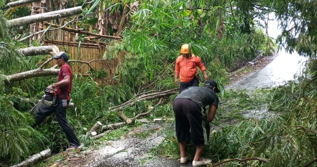 Hujan Deras dan Angin Kencang Sebabkan Pohon Tumbang Tutup Akses Jalan Warga Kebonpedes Sukabumi