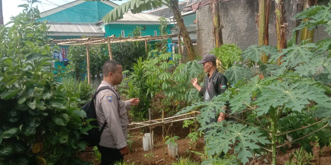 Giat program Ketahanan Pangan dilingkungan Rumah percontohan (Polsek Cibeureum Polres Sukabumi Kota)