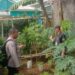 Giat program Ketahanan Pangan dilingkungan Rumah percontohan (Polsek Cibeureum Polres Sukabumi Kota)