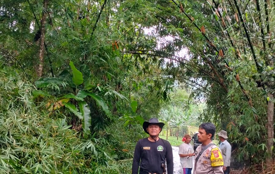 Polsek Kebon pedes Laksanakan Gotong Royong Pohon Tumbang Menimpa Jalan