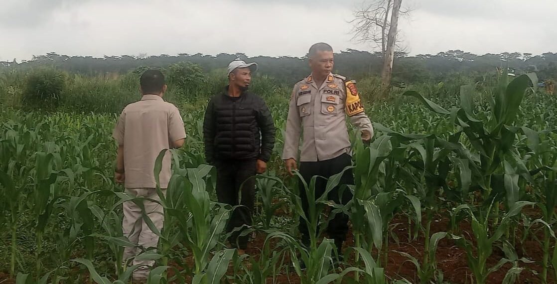 polsek sukaraja laksanakan kegiatan sambang dan pengecekan ketahanan pangan