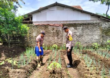 Polsek Baros Dukung Program Ketahanan Pangan melalui lahan Pekarangan