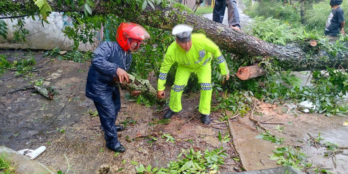 Polsek Sukalarang Sigap Tangani Pohon Tumbang Akibat Hujan dan Angin Kencang