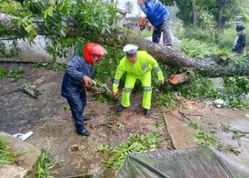 Polsek Sukalarang Sigap Tangani Pohon Tumbang Akibat Hujan dan Angin Kencang