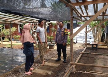 Pantau Ketahanan Pangan, Bhabinkamtibmas Polsek Sukabumi Sambangi Warga