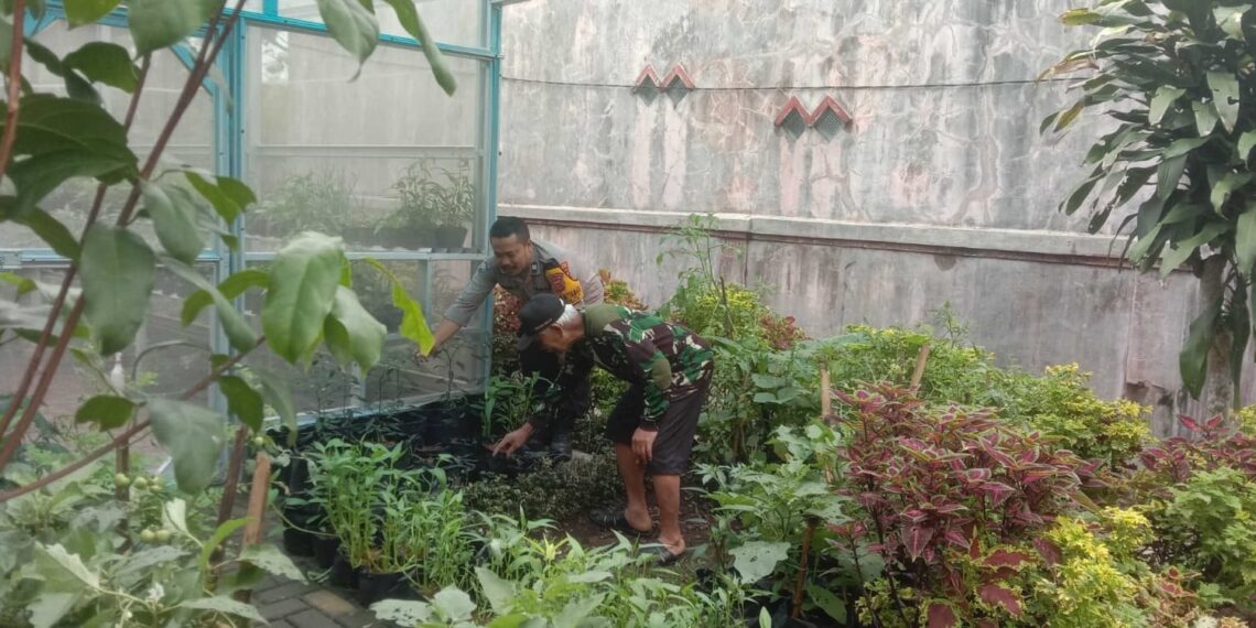Giat program Ketahanan Pangan dilingkungan Rumah percontohan (Polsek Cibeureum Polres Sukabumi Kota)