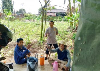 Ketahanan Pangan. Polsek Baros Sulap Lahan Non Produktif  Jadikan Tanaman Jagung