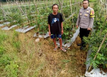 Sambangi Warga, Bhabinkamtibmas Polsek Cireunghas Beri Motivasi Warga Dukung Program Ketahanan Pangan