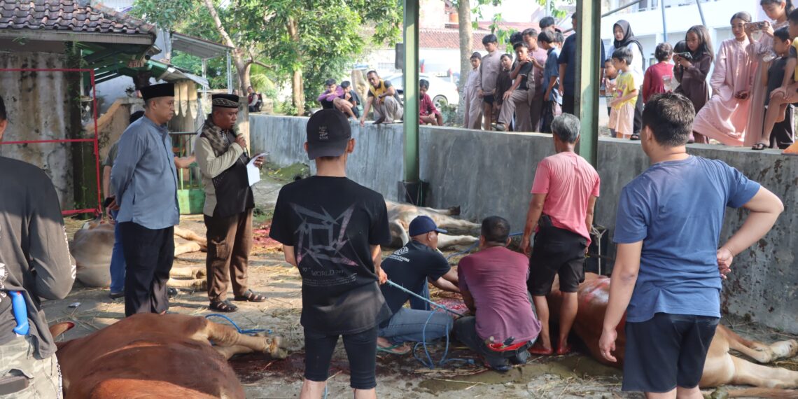 Hari Raya Idul Adha 1446 H, Polres Sukabumi Kota Siapkan 30 Hewan Qurban