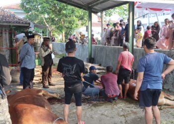 Hari Raya Idul Adha 1446 H, Polres Sukabumi Kota Siapkan 30 Hewan Qurban