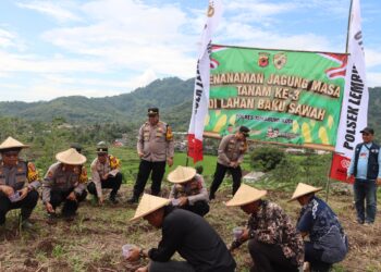 Dukung Ketahanan Pangan Nasional, Polres Sukabumi Kota Kembali Tanam Jagung
