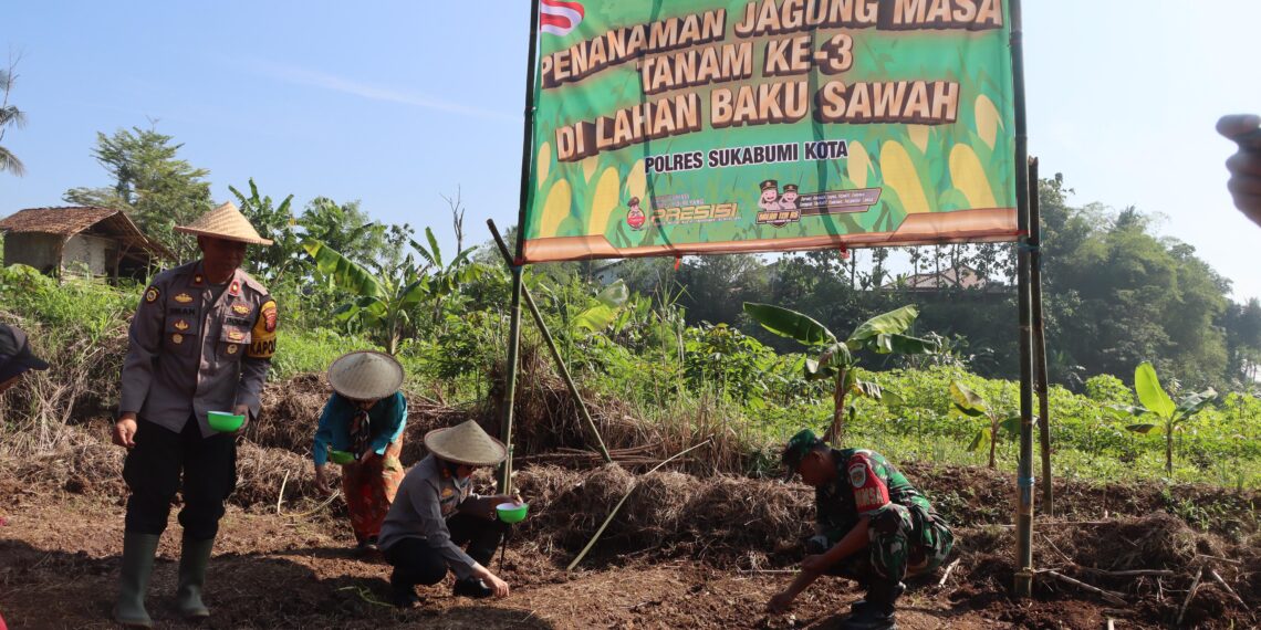 Polres Sukabumi Kota Tanam Jagung, Dukung Ketahan Pangan Nasional
