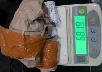 Tangkap Pengedar Narkoba, Polisi di Sukabumi Amankan 68 Gram Daun Ganja