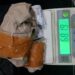 Tangkap Pengedar Narkoba, Polisi di Sukabumi Amankan 68 Gram Daun Ganja