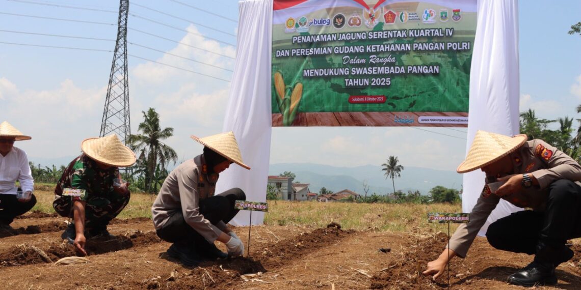 Polres Sukabumi Kota Tanam Jagung, Dukung Swasembada Pangan
