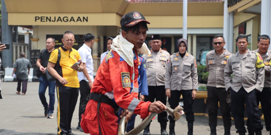 Gandeng Damkar, Polisi di Sukabumi Dilatih Tangani Kebakaran dan Ular Berbisa