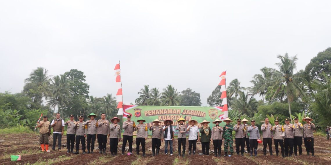 Dukung Ketahanan Pangan, Polres Sukabumi Kota Tanam Jagung Hybrida