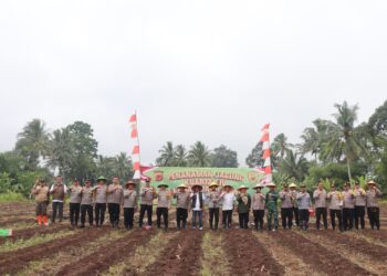 Dukung Ketahanan Pangan, Polres Sukabumi Kota Tanam Jagung Hybrida