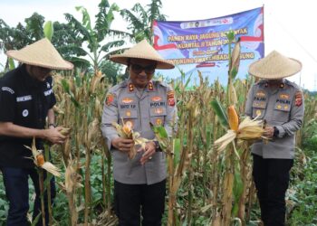 Ciptakan Swasembada Pangan, Polres Sukabumi Kota Gencarkan Penanaman Jagung