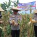 Ciptakan Swasembada Pangan, Polres Sukabumi Kota Gencarkan Penanaman Jagung