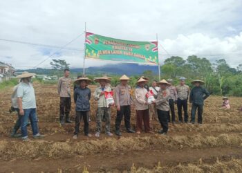 Bareng Petani, Polres Sukabumi Kota Gerakkan Penanaman Jagung di Lahan Produktif