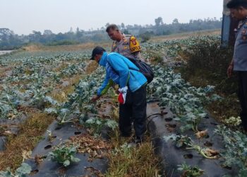 Kapolsek Sukaraja Sambangi Petani di Limbangan, Bahas Keamanan Lahan hingga Ketahanan Pangan