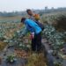 Kapolsek Sukaraja Sambangi Petani di Limbangan, Bahas Keamanan Lahan hingga Ketahanan Pangan