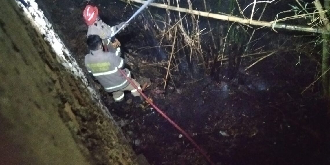 Rumpun Bambu di Belakang SMAN 2 Sukabumi Terbakar, Luas Lahan Capai 50 Meter Persegi