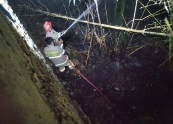 Rumpun Bambu di Belakang SMAN 2 Sukabumi Terbakar, Luas Lahan Capai 50 Meter Persegi