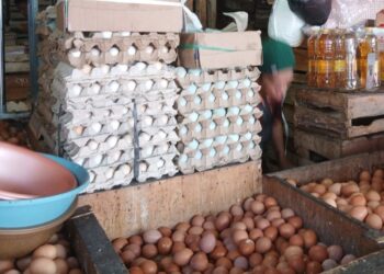 Harga Telur Ayam di Sukabumi Naik, Tembus Rp 27.000 per Kilogram