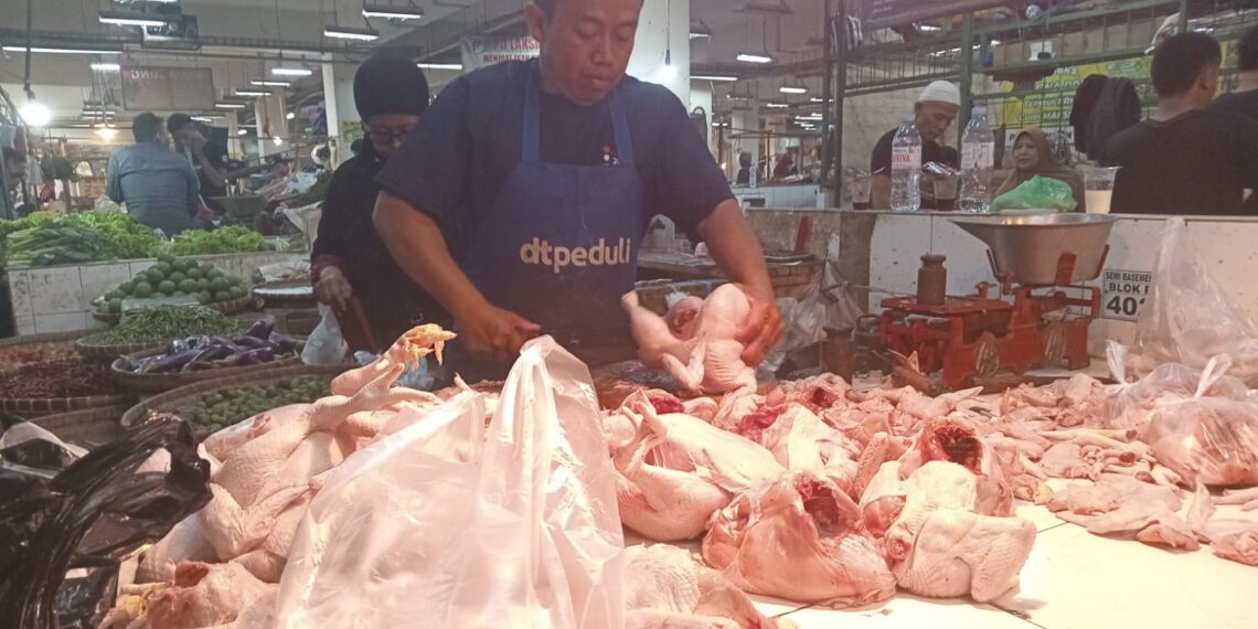 Hari Ini, Harga Daging Ayam di Pasar Sukabumi Rp 40 Ribu Per Kg dan Telur Ayam Rp 27 Ribu Per Kg